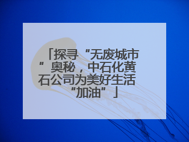 探寻“无废城市”奥秘，中石化黄石公司为美好生活“加油”