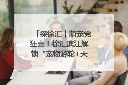 探徐汇｜萌宠党狂喜！徐汇滨江解锁“宠物游轮+天台乐园”双玩法