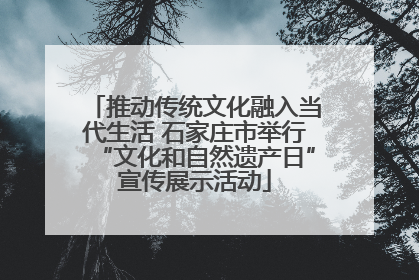 推动传统文化融入当代生活 石家庄市举行“文化和自然遗产日”宣传展示活动