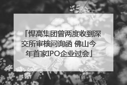 悍高集团曾两度收到深交所审核问询函 佛山今年首家IPO企业过会