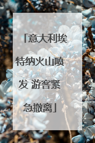 意大利埃特纳火山喷发 游客紧急撤离