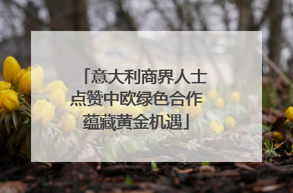 意大利商界人士点赞中欧绿色合作蕴藏黄金机遇