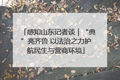 感知山东记者谈｜“典”亮齐鲁 以法治之力护航民生与营商环境