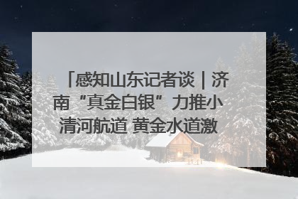 感知山东记者谈｜济南“真金白银”力推小清河航道 黄金水道激活区域经济新动能