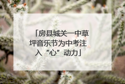 房县城关一中草坪音乐节为中考注入“心”动力