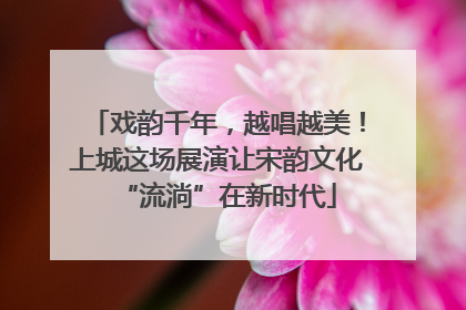 戏韵千年，越唱越美！上城这场展演让宋韵文化“流淌”在新时代