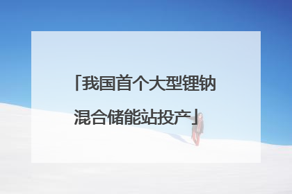 我国首个大型锂钠混合储能站投产