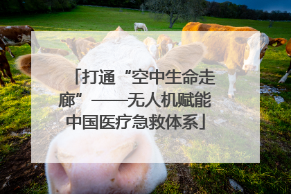 打通“空中生命走廊”——无人机赋能中国医疗急救体系