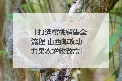 打通樱桃销售全流程 山西邮政助力果农增收致富