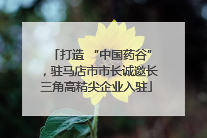 打造 “中国药谷”，驻马店市市长诚邀长三角高精尖企业入驻