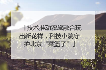 技术推动农旅融合玩出新花样，科技小院守护北京“菜篮子”
