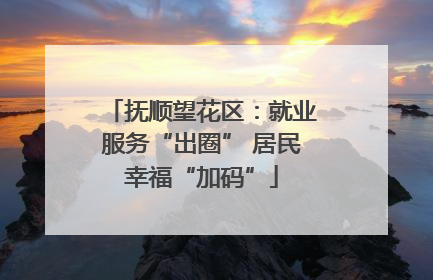抚顺望花区：就业服务“出圈” 居民幸福“加码”