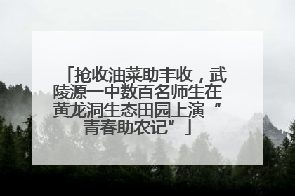 抢收油菜助丰收，武陵源一中数百名师生在黄龙洞生态田园上演“青春助农记”