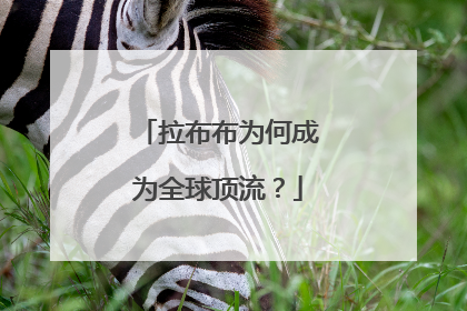 拉布布为何成为全球顶流？