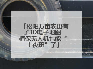 松阳万亩农田有了3D电子地图 植保无人机也能“上夜班”了