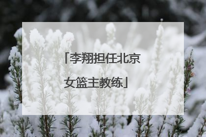 李翔担任北京女篮主教练