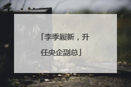 李季履新，升任央企副总