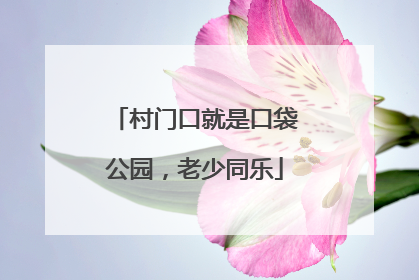 村门口就是口袋公园，老少同乐