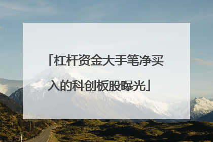 杠杆资金大手笔净买入的科创板股曝光