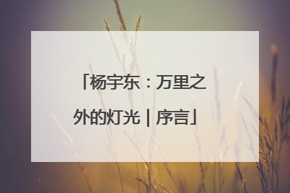 杨宇东：万里之外的灯光｜序言
