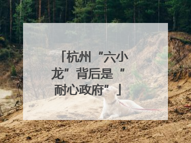杭州“六小龙”背后是“耐心政府”