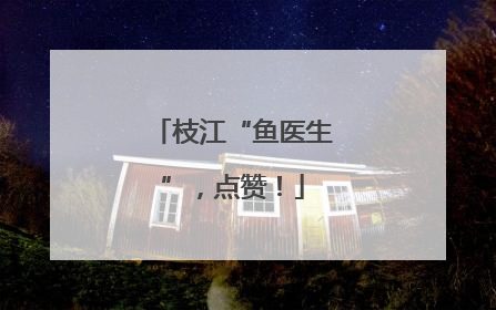 枝江“鱼医生”，点赞！