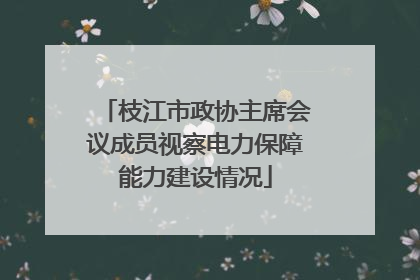 枝江市政协主席会议成员视察电力保障能力建设情况