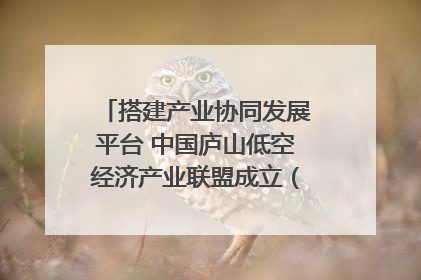 搭建产业协同发展平台 中国庐山低空经济产业联盟成立（组图｜视频）