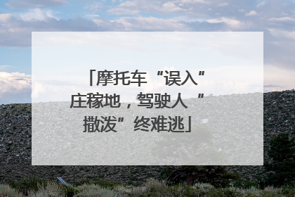 摩托车“误入”庄稼地，驾驶人“撒泼”终难逃