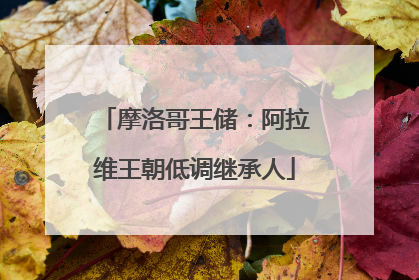 摩洛哥王储：阿拉维王朝低调继承人