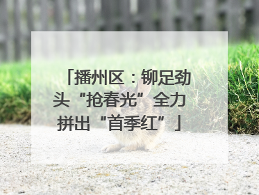 播州区：铆足劲头“抢春光”全力拼出“首季红”