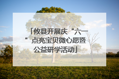 攸县开展庆“六一”点亮宝贝微心愿暨公益研学活动