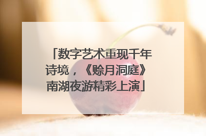 数字艺术重现千年诗境，《赊月洞庭》南湖夜游精彩上演