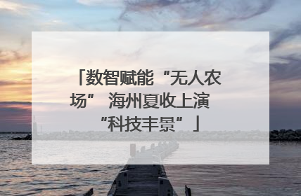数智赋能“无人农场” 海州夏收上演“科技丰景”