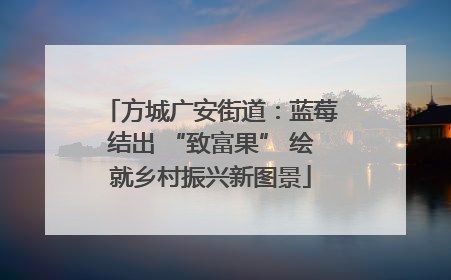 方城广安街道：蓝莓结出 “致富果” 绘就乡村振兴新图景