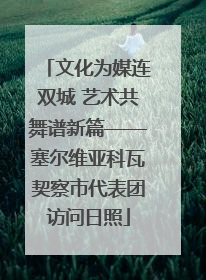 文化为媒连双城 艺术共舞谱新篇——塞尔维亚科瓦契察市代表团访问日照