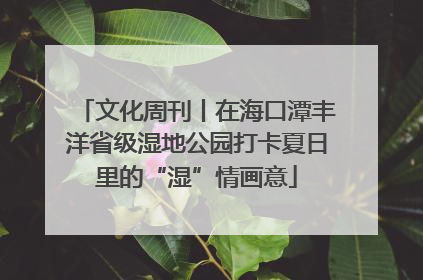 文化周刊丨在海口潭丰洋省级湿地公园打卡夏日里的“湿”情画意