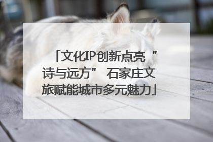 文化IP创新点亮“诗与远方” 石家庄文旅赋能城市多元魅力