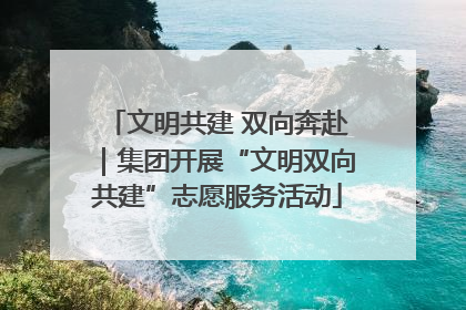 文明共建 双向奔赴｜集团开展“文明双向共建”志愿服务活动