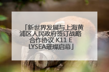 新世界发展与上海黄浦区人民政府签订战略合作协议 K11 ELYSEA璀璨启幕