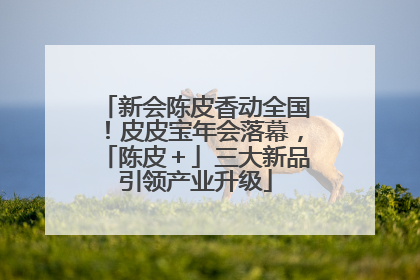 新会陈皮香动全国！皮皮宝年会落幕，「陈皮＋」三大新品引领产业升级