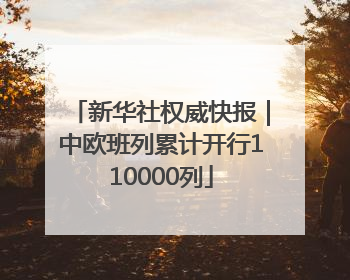 新华社权威快报｜中欧班列累计开行110000列
