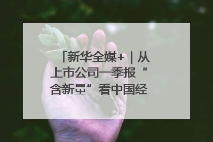 新华全媒+｜从上市公司一季报“含新量”看中国经济发展向“新”