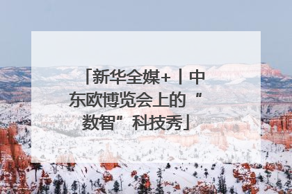 新华全媒+丨中东欧博览会上的“数智”科技秀
