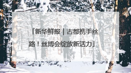 新华鲜报｜古都携手丝路！丝博会绽放新活力