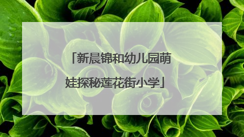 新晨锦和幼儿园萌娃探秘莲花街小学