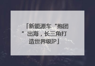 新能源车“抱团”出海，长三角打造世界级IP