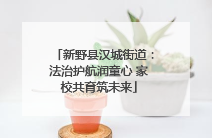 新野县汉城街道：法治护航润童心 家校共育筑未来