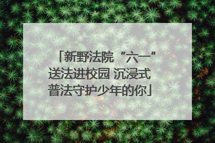 新野法院“六一”送法进校园 沉浸式普法守护少年的你