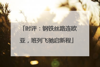 时评：钢铁丝路连欧亚，班列飞驰启新程